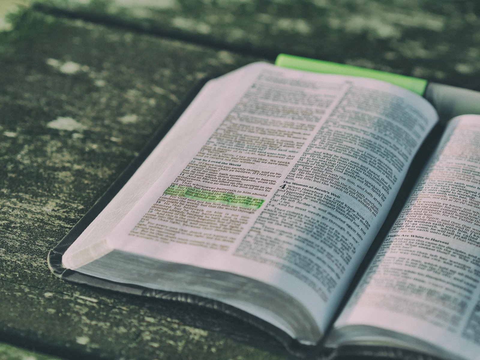 Quais os ganhos de se ler a BIBLIA diariamente?